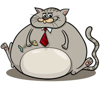Dags att sluta mata den tjocka katten