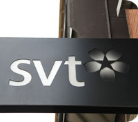 TV-licensen skrotas och ersätts av en individuell public service-skatt.