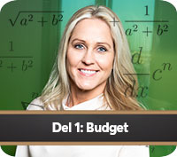 Compricers ekonomiskola del 1: Budget