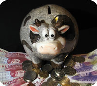 Skulle du använda en miljonvinst till amortering eller sparande?