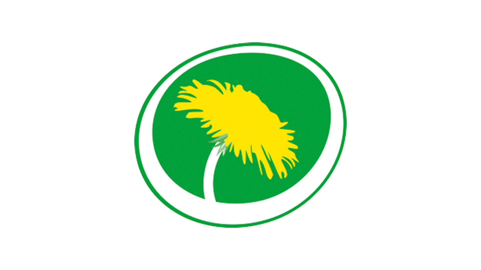 Så blir din privatekonomi om Miljöpartiet får bestämma
