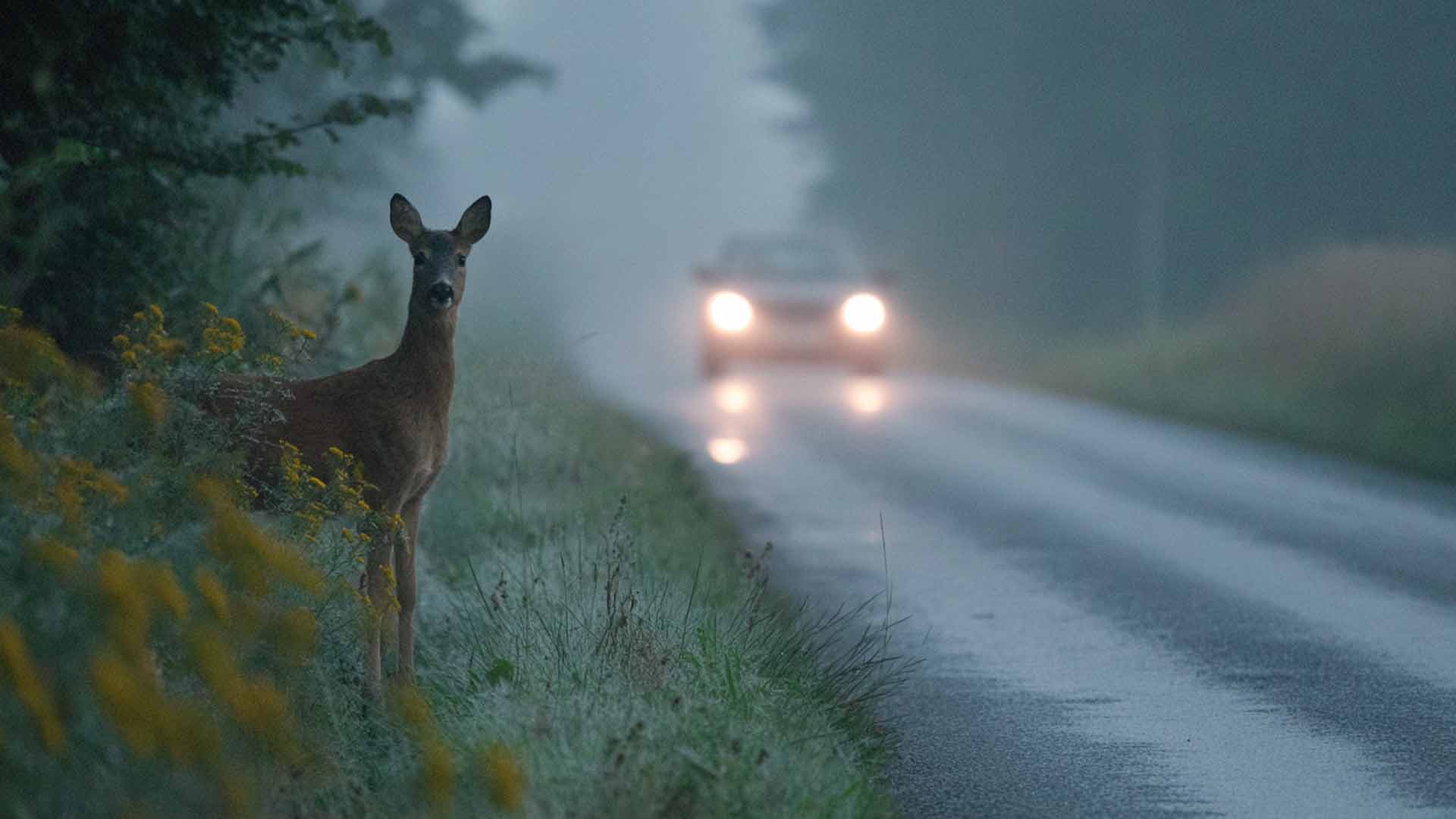 Tilläggsförsäkringar i din bilförsäkring - vad ingår och när behövs de?