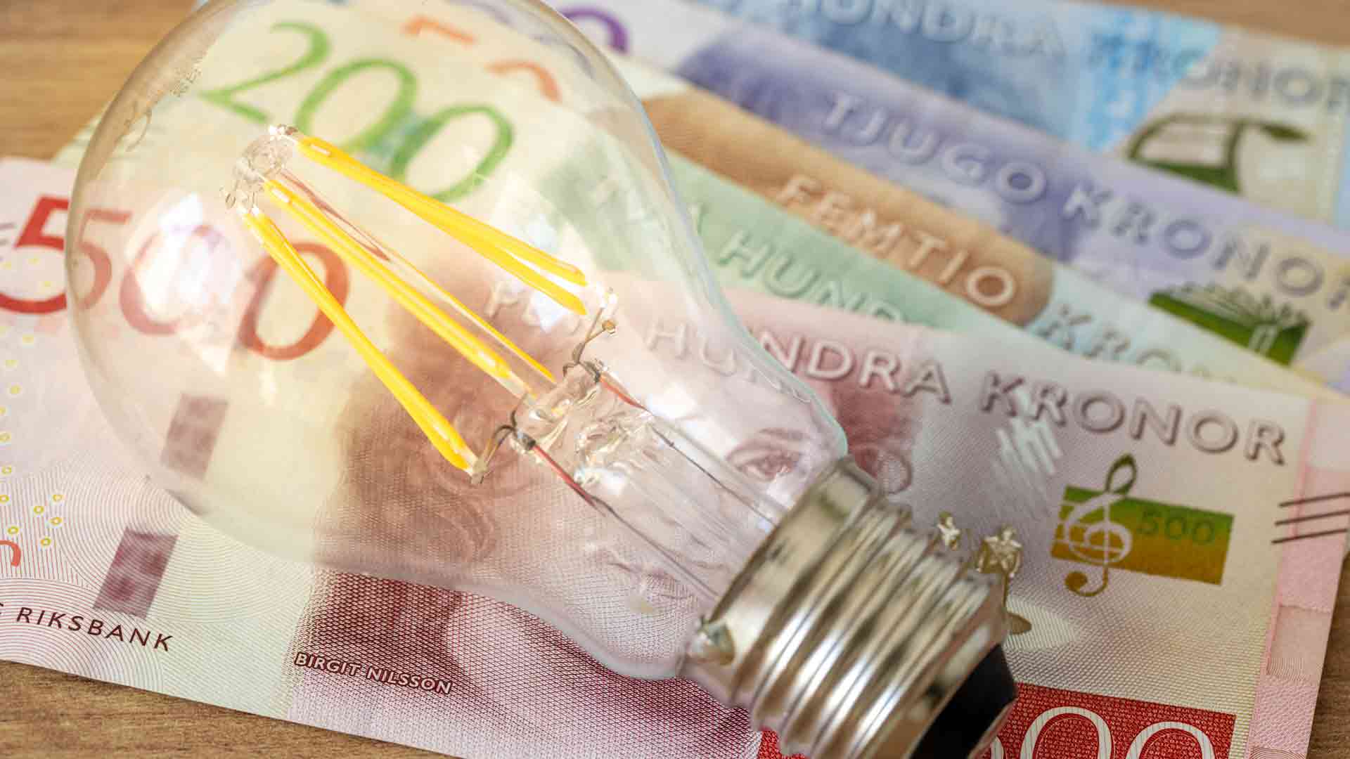 Elstödet 2026: Så mycket får du - och så säkrar du utbetalningen i juni 